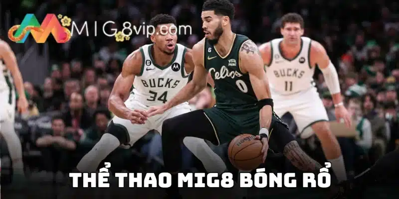 Tham gia đặt cược môn bóng rổ hấp dẫn