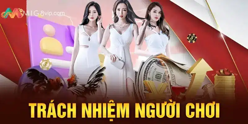 Tất tần tật trách nhiệm người chơi khi tham gia nhà cái Mig8